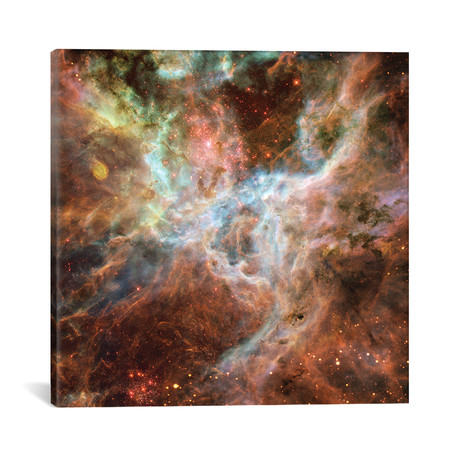 Symphony Of Colours, Hodge 301 // R136, Tarantula Nebula // NASA (18"W x 18"H x 0.75"D)