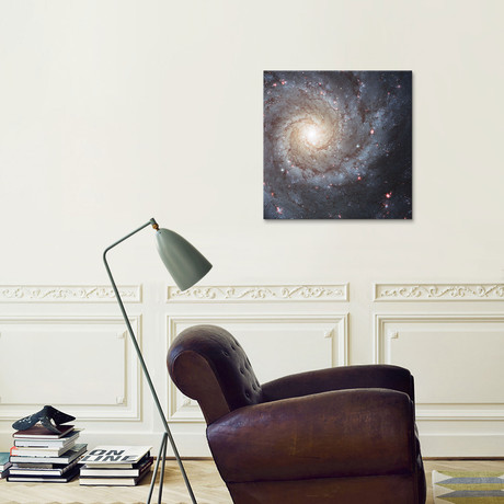 Radiating Hydrogen Clouds, Messier 74 (18"W x 18"H x 0.75"D)