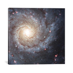 Radiating Hydrogen Clouds, Messier 74 (18"W x 18"H x 0.75"D)