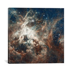 Prolific Star-Forming Region, 30 Doradus // Tarantula Nebula // NASA (18"W x 18"H x 0.75"D)