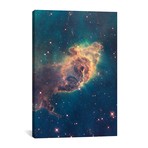 Pillar Of Gas, Carina Nebula // NASA (26"W x 40"H x 1.5"D)
