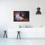 WR 20a And Surrounding Stars, Westerlund 2 // NASA (26"W x 18"H x 0.75"D)