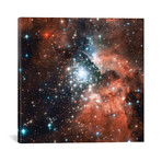 Young Star Cluster, NGC 3603 Nebula (18"W x 18"H x 0.75"D)