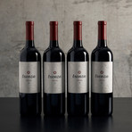 Gold Medal Tinto Red Blend // Trenza Vineyards // 4 Bottles  