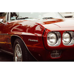 1969 Pontiac Firebird (30"W x 20"H)