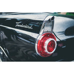 1955 Ford Thunderbird (30"W x 20"H)