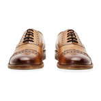 Redfoot // Barnaby Toe Cap Oxford Brogue // Tan (UK: 12)