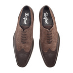 Jay Brogue // Brown + Stone (UK: 12)