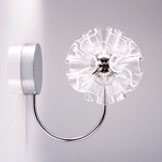 Coral Wall Lamp // Clear