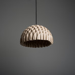 Arc Pendant // Plywood