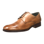 Zenobi // Classic Derby // Maple (Euro: 42)