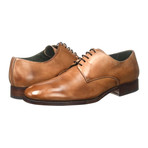 Zenobi // Classic Derby // Maple (Euro: 42)