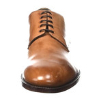 Zenobi // Classic Derby // Maple (Euro: 42)