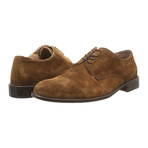 Alexander Trend // Suede Captoe Derby // Burnished (Euro: 40)