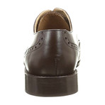 Alexander Trend // Leather Wingtip Derby // Dark Brown (Euro: 41)