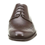 Alexander Trend // Leather Wingtip Derby // Dark Brown (Euro: 41)