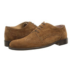 Alexander Trend // Suede Wingtip Derby // Burnished (Euro: 46)