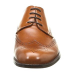Alexander Trend // Leather Wingtip Derby // Leather (Euro: 41)