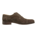 Alexander Trend // Suede Wingtip Oxford // Dark Brown (Euro: 46)