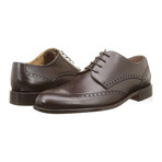 Alexander Trend // Leather Wingtip Derby // Dark Brown (Euro: 41)