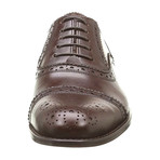 Alexander Trend // Leather Wingtip Oxford // Dark Brown (Euro: 46)