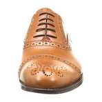 Alexander Trend // Leather Wingtip Oxford // Leather (Euro: 43)