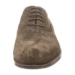Alexander Trend // Suede Wingtip Oxford // Dark Brown (Euro: 46)
