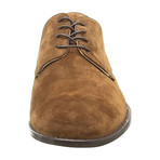 Alexander Trend // Classic Suede Derby // Burnished (Euro: 42)