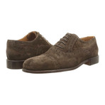 Alexander Trend // Suede Wingtip Oxford // Dark Brown (Euro: 46)