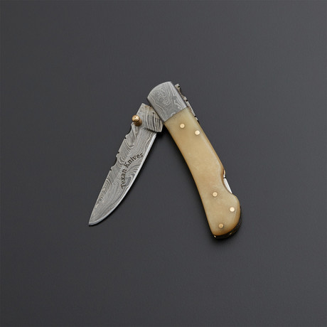 Texan Folder // Bone