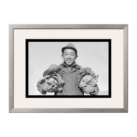 Richard Kobayashi, Framer With Cabbages (Pewter Frame)