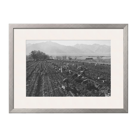 Potato Fields (Pewter Frame)