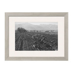 Potato Fields (Pewter Frame)