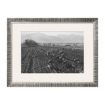 Potato Fields (Pewter Frame)