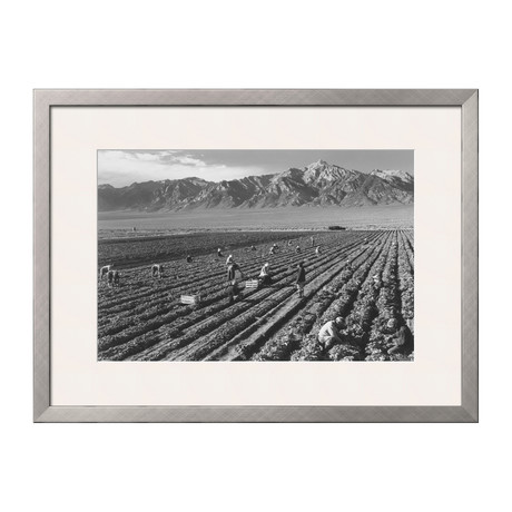 Farm, Farm Workers, Mt. Williamson In Background (Pewter Frame)