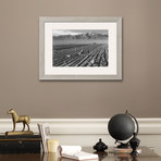 Farm, Farm Workers, Mt. Williamson In Background (Pewter Frame)