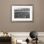 Farm, Farm Workers, Mt. Williamson In Background (Pewter Frame)