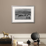 Cattle In South Farm (Pewter Frame)