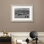 Cattle In South Farm (Pewter Frame)