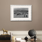 Cattle In South Farm (Pewter Frame)