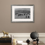 Cattle In South Farm (Pewter Frame)