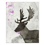 Nature Trail // Elk (16"W x 20"H x 1.62"D)