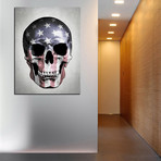 American Skull Gray (12"W x 16"H x 0.75"D)