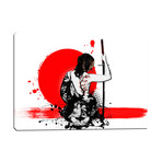 Trash Polka // Female Samurai (12"W x 18"H x 0.75"D)