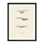 The Iconic Star Trek Print