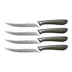 Big Steak 4-Piece Micarta Handle Knife Gift Set