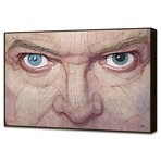 David Bowie Eyes (20"L x 16"H x 2"D)