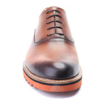 Plain Dress Shoe // Tobacco (Euro: 45)