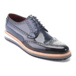 Wingtip Brogue // Dark Blue (Euro: 44)