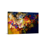 Fiery (24"L x 16"H x 1.25"D)